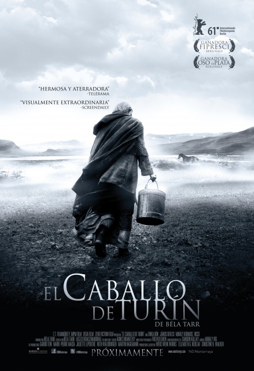 turin_horse